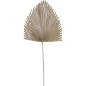 Arrowhead Palm Leaf – Brown 